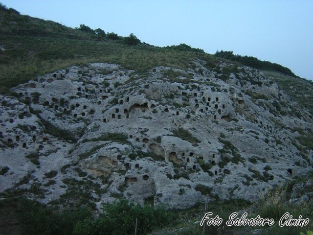 DSCN3241 (Copia)